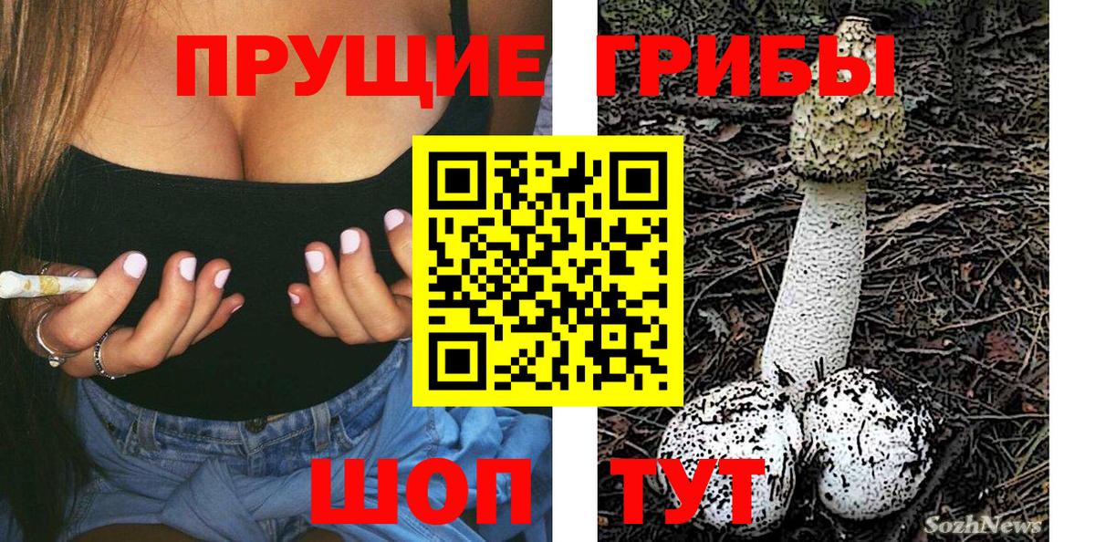 Галлюциногенные грибы Cubensis Лосино-Петровский