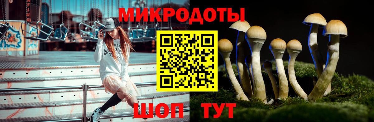 Лосино-Петровский  Галлюциногенные грибы Cubensis  Вход с VPN 